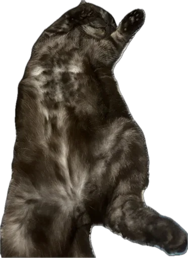 Стикер huylusha223 - 1