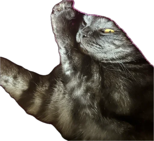 Стикер huylusha223 - 1