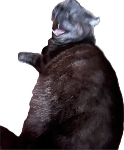 Sticker huylusha223 - 1