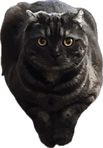 Стикер huylusha223 - 1