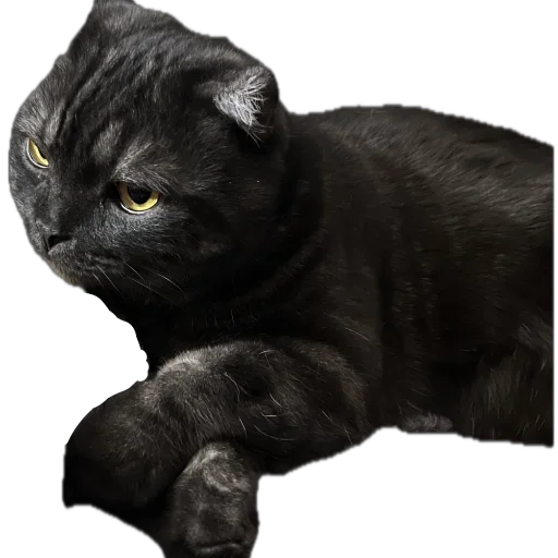 Sticker huylusha223 - 1