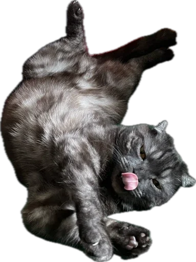 Стикер huylusha223 - 1