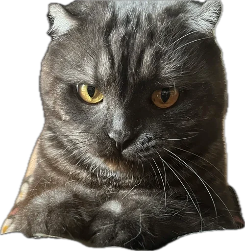 Стикер huylusha223 - 1