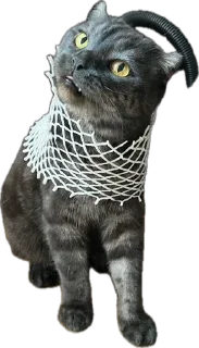 Sticker ХуйЛуШ@ - 10