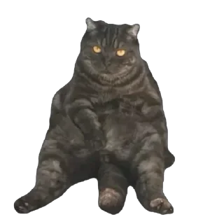 Sticker ХуйЛуШ@ - 9