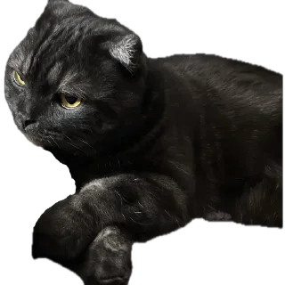 Sticker ХуйЛуШ@ - 3