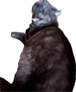 Sticker ХуйЛуШ@ - 5