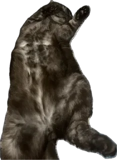 Sticker ХуйЛуШ@ - 8