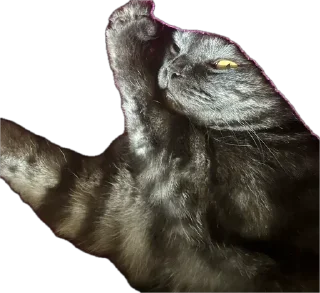 Sticker ХуйЛуШ@ - 6