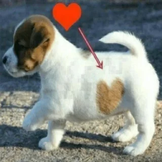 Стикер хуйня ярослава владимировича 2 - 4