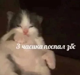 Стикер хуйня ярослава владимировича 2 - 8