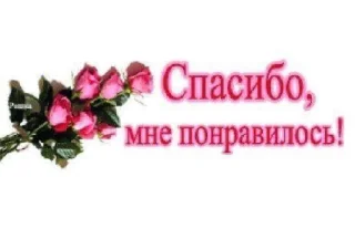 Стикер хуйня ярослава владимировича 2 - 10