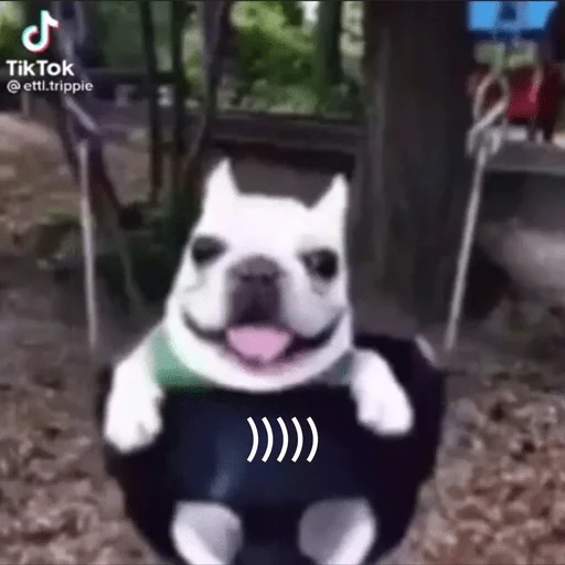 Стикер Хайкю - 2