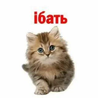 Стикер Больше стиков тут: @stikery4 - 8