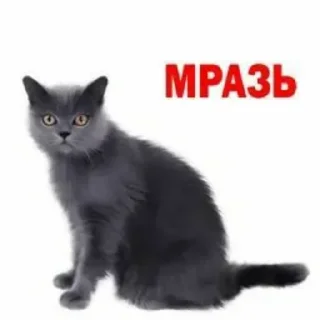 Стикер Больше стиков тут: @stikery4 - 9