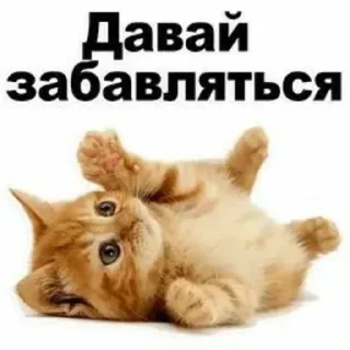 Стикер Больше стиков тут: @stikery4 - 0