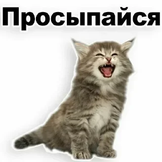 Стикер Больше стиков тут: @stikery4 - 10