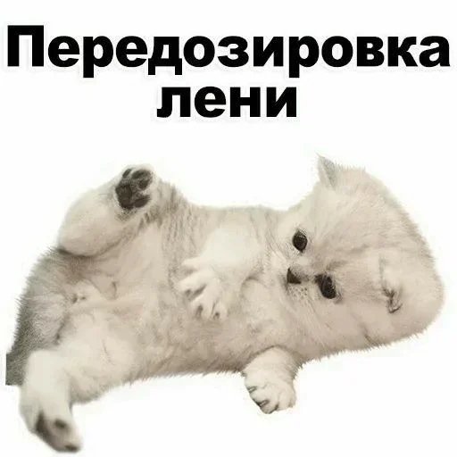 Больше стикеров тут: @stickers_memy - 