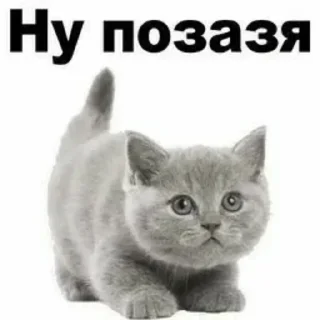 Sticker Больше стикеров тут: @stickers_memy - 1