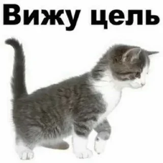 Sticker Больше стикеров тут: @stickers_memy - 8