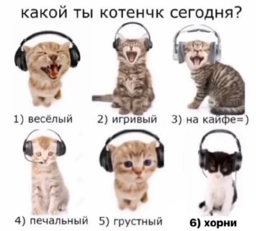 Стикер ебать спасибо нахуй :: @fStikBot - 2