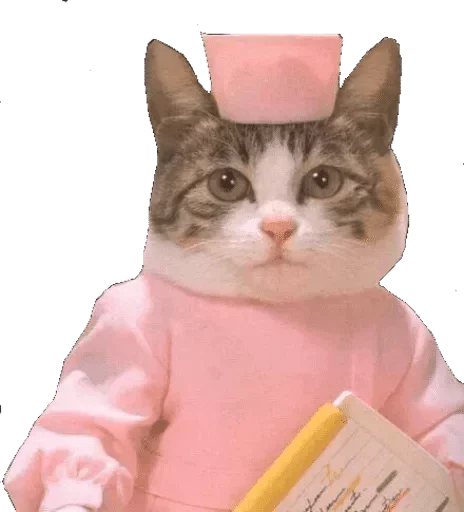 Sticker От создателей @hydtor 🔞 - 8