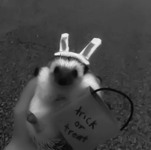 black and white handwriting outdoor