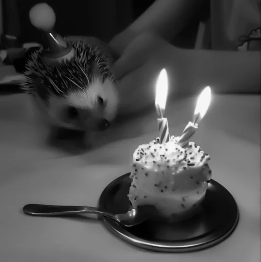 candle tableware birthday cake