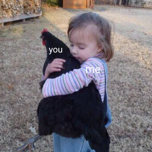 птица животное ребёнок