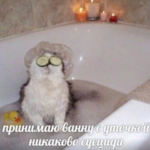 комнатный ванная ванна