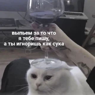 Стикер Мемы - 7