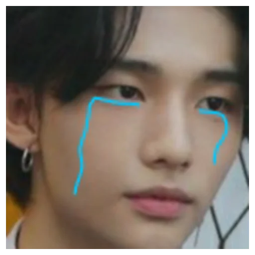 human face eyebrow eyelash