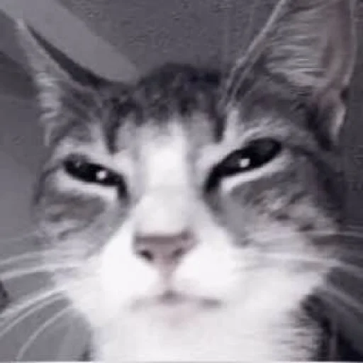 Sticker hyunminjdjdj - 1