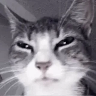 Sticker хён & ʍин :; @stickskz - 4