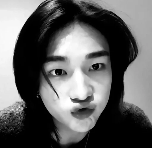 чб хёнджин (@helpjeyy) :: @fStikBot - human face