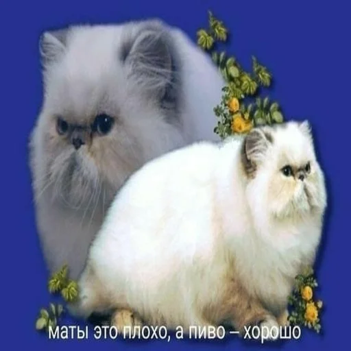 Стикер hzzaazz - 1