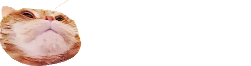 кошка животное млекопитающее