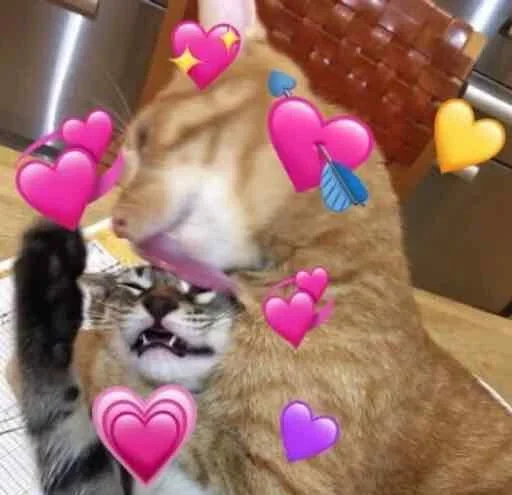 комнатный кошачьи домашнее животное