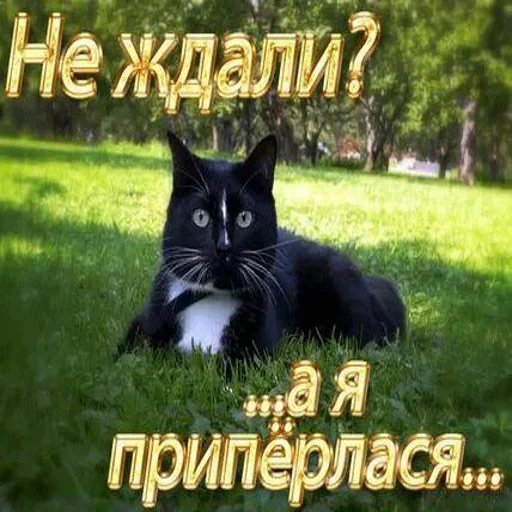 Создать стикеры|@EmojiRuBot - 