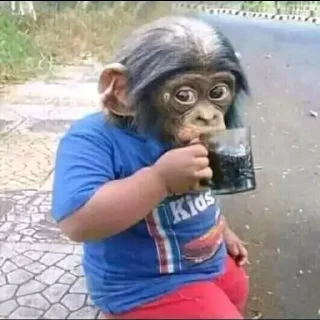 Стикер Создать стикеры|@EmojiRuBot - 8