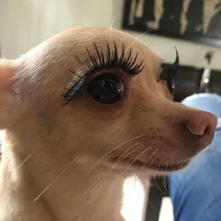 Стикер Больше стиков тут: @stikery4 - 9