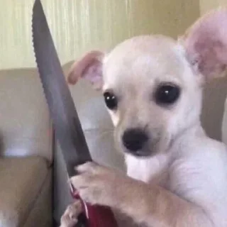 Стикер Больше стиков тут: @stikery4 - 10