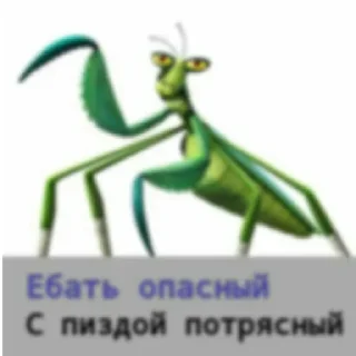 Sticker Больше стиков тут: @stikiin - 6