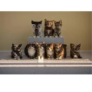 Sticker Больше стиков тут: @stikery4 - 11