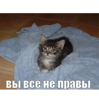 Sticker Больше стиков тут: @stikery4 - 9