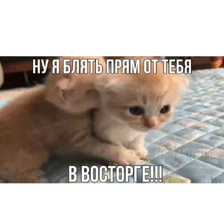 Sticker Больше стиков тут: @stikery4 - 10