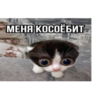 Sticker Больше стиков тут: @stikery4 - 8