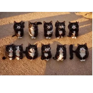 Sticker Больше стиков тут: @stikery4 - 5