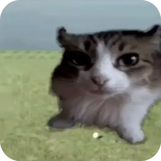 Sticker iLRWPZKETBJHcQ_by_stickers_stealer_bot - 1