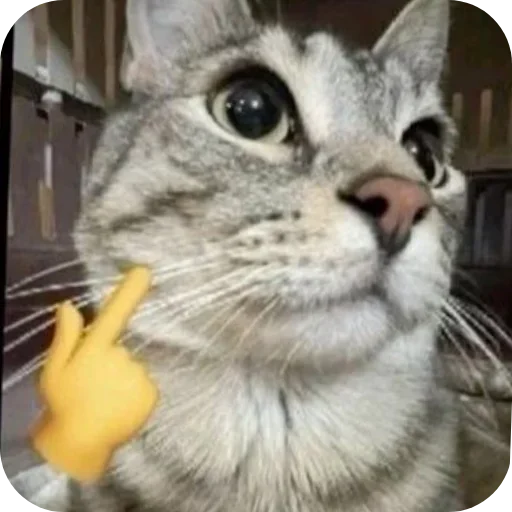 Sticker iLRWPZKETBJHcQ_by_stickers_stealer_bot - 1